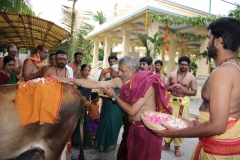 Laksha Modukala Homam - 11