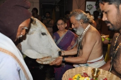 Bhanu-Mahadyuta-Yagam-Gow-Puja